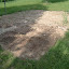 jcvonrosen's Front Yard garden