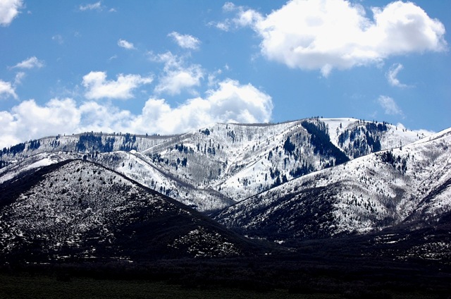 [easterdrive3[2].jpg]