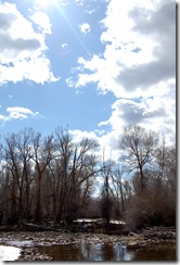easterdrive58