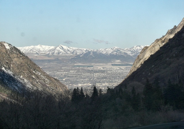 [snowbird102.jpg]