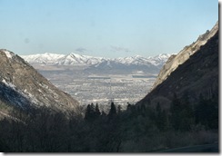 snowbird10