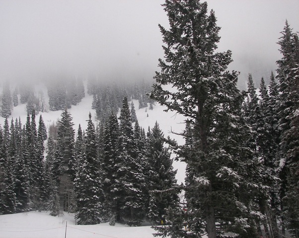 [snowbird52.jpg]