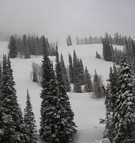 [snowbird62.jpg]