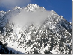 snowbird8