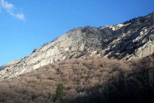 [snowbird152.jpg]
