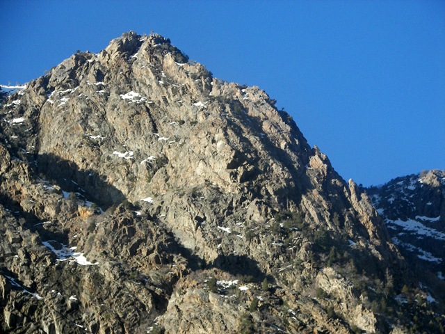 [snowbird202.jpg]
