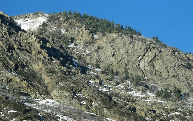 [snowbird212.jpg]