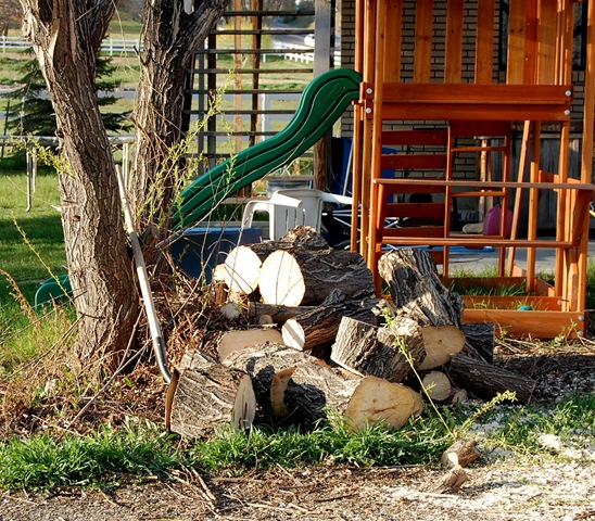 [treedisaster19[2].jpg]