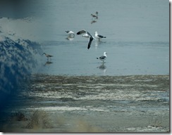 aisland3
