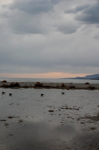 [aisland1182.jpg]