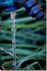 faucet