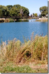 salemlake19