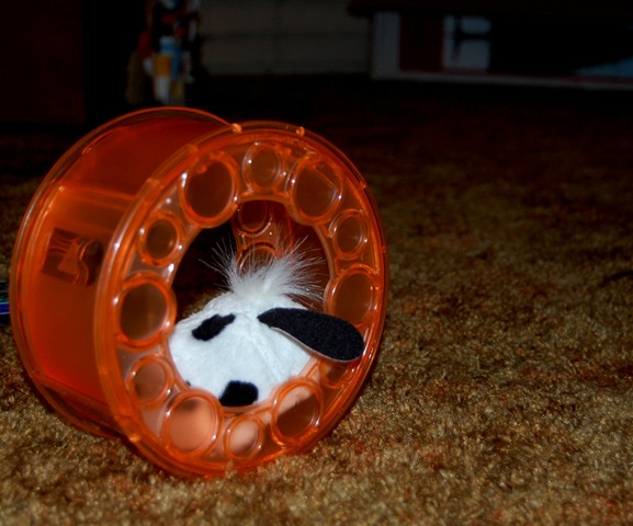 [furreal82.jpg]