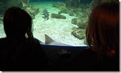 aliandsadi020911-2