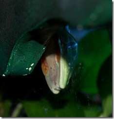 aquarium34
