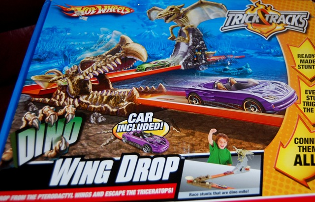 [hotwheels22.jpg]