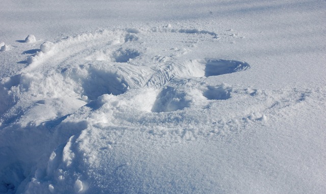 [snowypark6[2].jpg]