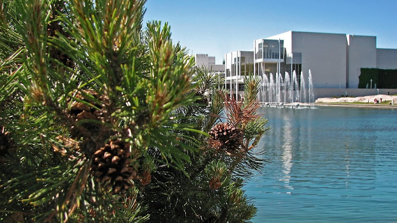 С симпатией к Тапиола