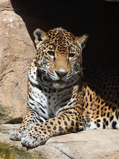 IMAGE: http://lh6.ggpht.com/_2fiBBlI3Ff4/S6VVuse-4SI/AAAAAAAAAEY/BiPsiBzh260/s512/DPP_2048559.JPG