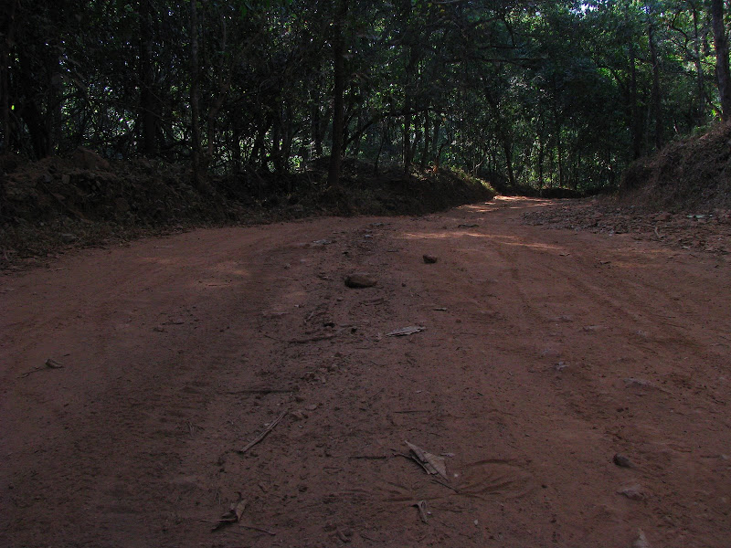 Rock filled path