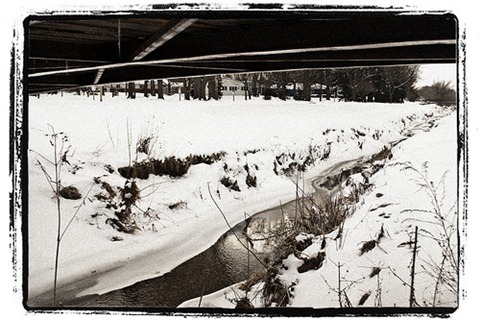 Creek 2-12-10