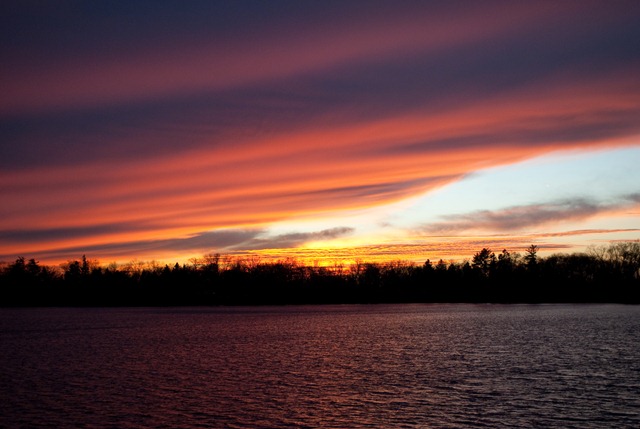 [DSC_0138[8].jpg]