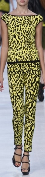 [angelomarani[2].jpg]