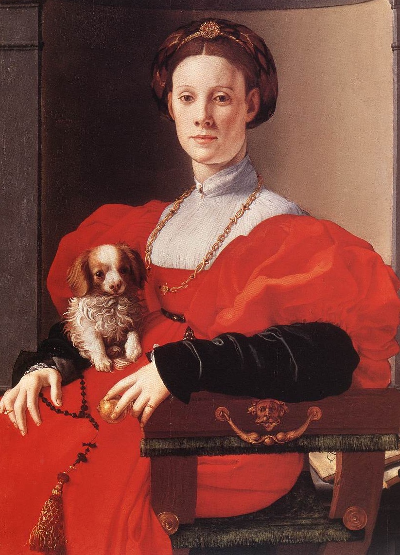 [AgnoloBronzino_Lady_with_puppy1532[3].jpg]