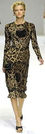 [Animalier - Dolce e Gabbana[2].jpg]
