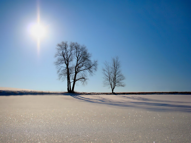 windows 7%20 007 Windows 7 Wallpapers