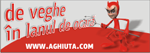 Aghiuta.com