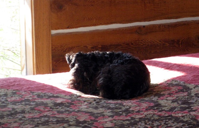 [Finding sun[3].jpg]