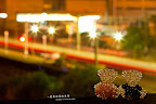 一起看夜景的幸福