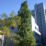 島根大学