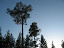 islands 022