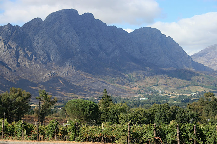 The fire moved from this part of the Franschhoek Valley to the Cabriere section - thats a long way to travel. 