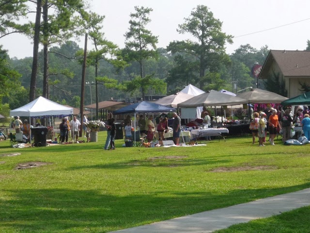 [P1030938[6].jpg]