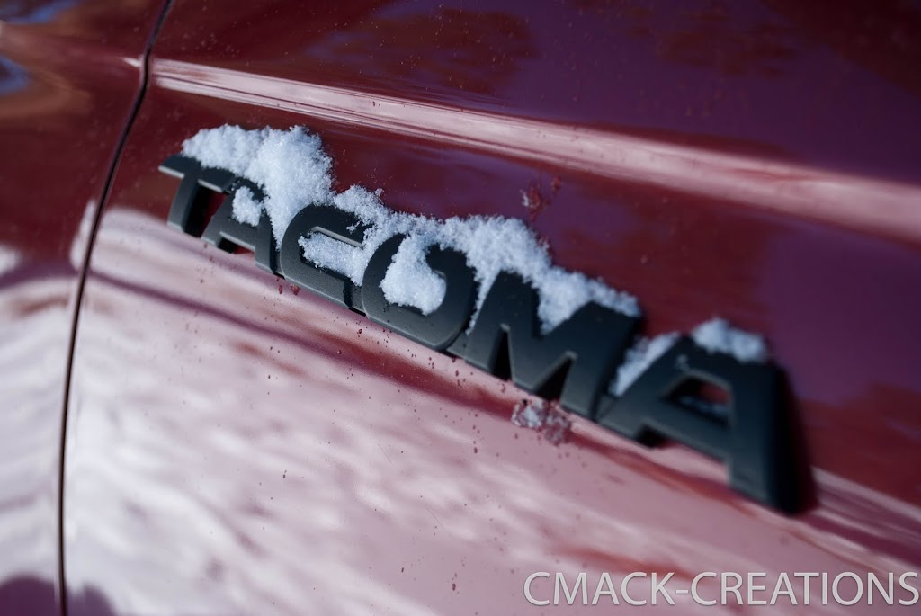 What Color to Paint Badges and such? Page 2 World