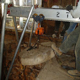 P2050041.jpg