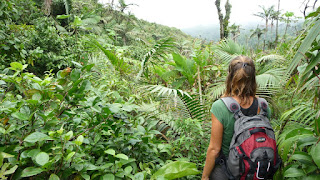 Concord Falls Trail.