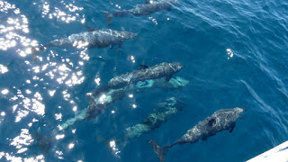 Vor Isla Jicaron, Coiba Nationalpark.