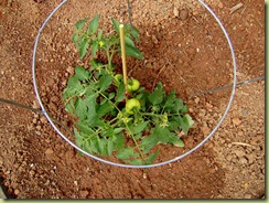 P4070034