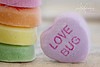 [love bug[2].jpg]