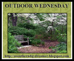 [Outdoor_Wednesday_logo_thumb[2][2].png]
