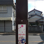 P1000803.jpg