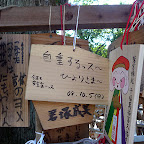 P1000874.jpg
