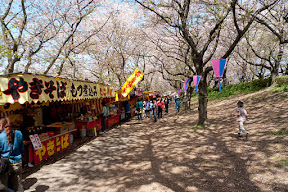 P1030550.jpg
