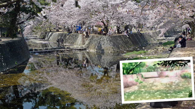夙川公園