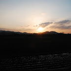 DSC_0790.JPG