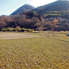 DSC_0843.JPG